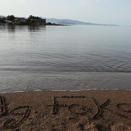モネンバシアHouse Of Monachogios, Agios Fokas, Monemvassiaアパートメント エクステリア 写真