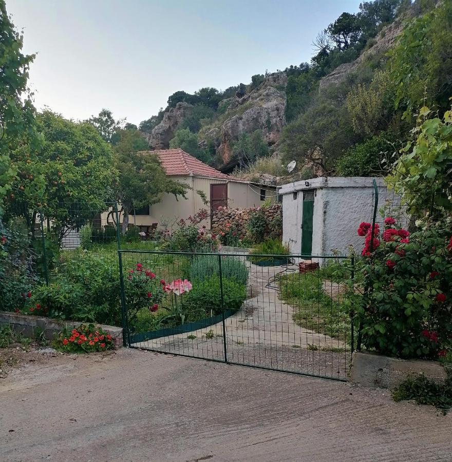 モネンバシアHouse Of Monachogios, Agios Fokas, Monemvassiaアパートメント エクステリア 写真