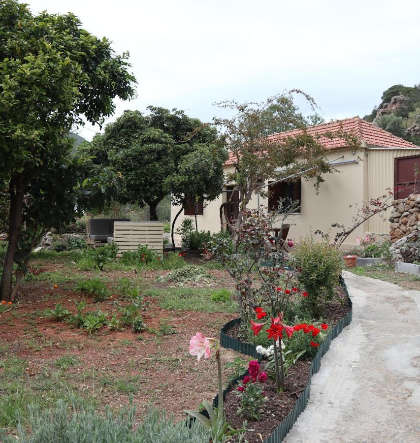 モネンバシアHouse Of Monachogios, Agios Fokas, Monemvassiaアパートメント エクステリア 写真