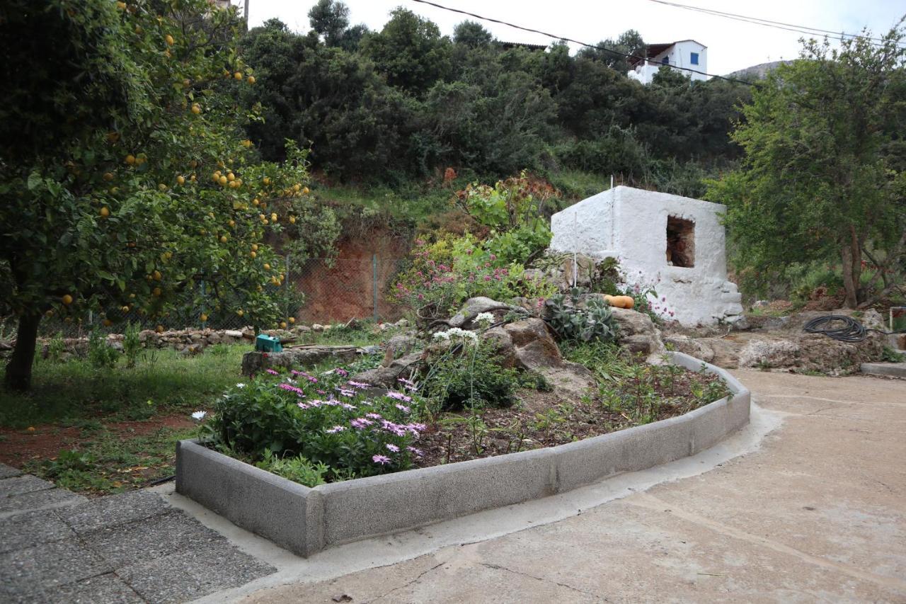 モネンバシアHouse Of Monachogios, Agios Fokas, Monemvassiaアパートメント エクステリア 写真