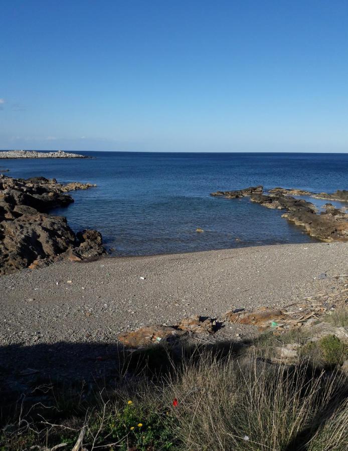 モネンバシアHouse Of Monachogios, Agios Fokas, Monemvassiaアパートメント エクステリア 写真