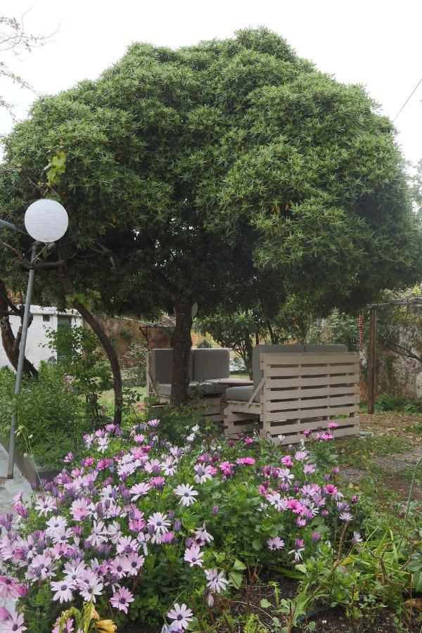 モネンバシアHouse Of Monachogios, Agios Fokas, Monemvassiaアパートメント エクステリア 写真